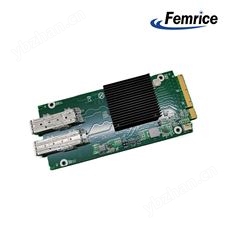 FM-N10G-X2-F2飛邁瑞克國產(chǎn)沐創(chuàng)萬兆雙光口擴展卡