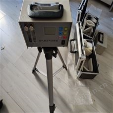 DP-LS5雙氣路大氣采樣器