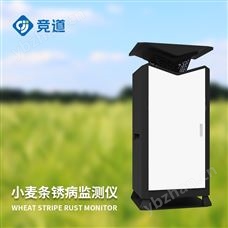 JD-XM3小麥條銹病抗性鑒定