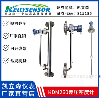 KDM260HS2ZPM17P16HA110B08插入式在线密度计