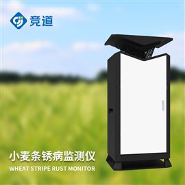 JD-XM3小麦条锈病抗性鉴定