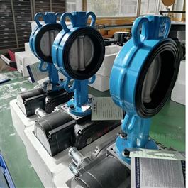 精小型調(diào)節(jié)型軟密封電動對夾蝶閥