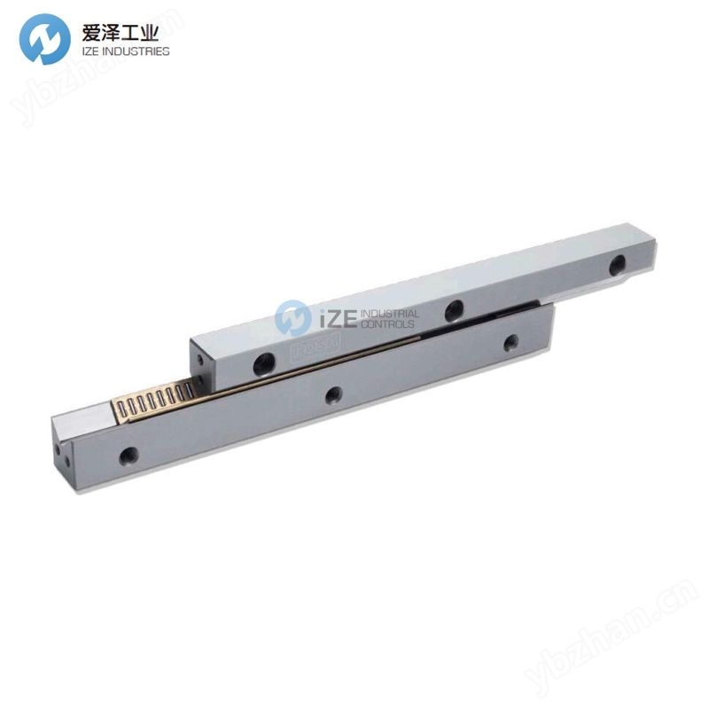 ROSA线性轴承RV2025-200