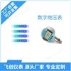 FC绝压压力表