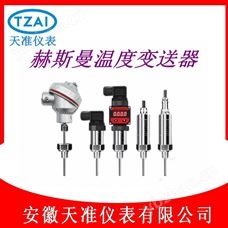 TZ-WZPB-230天准赫斯曼一体化温度变送器