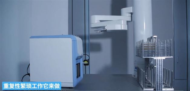 不止计数！智能菌落设备还能做形态分析，数据一键导出