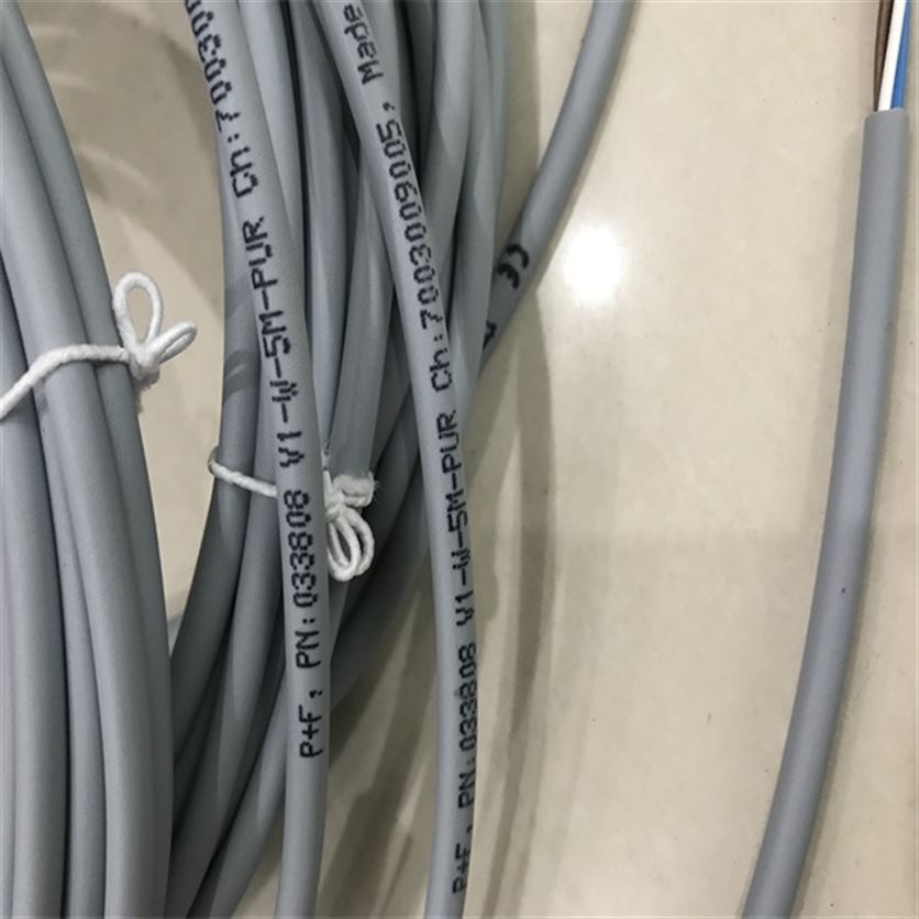 P+F���Ӹ���λ����NCN100-F23-E2-V1