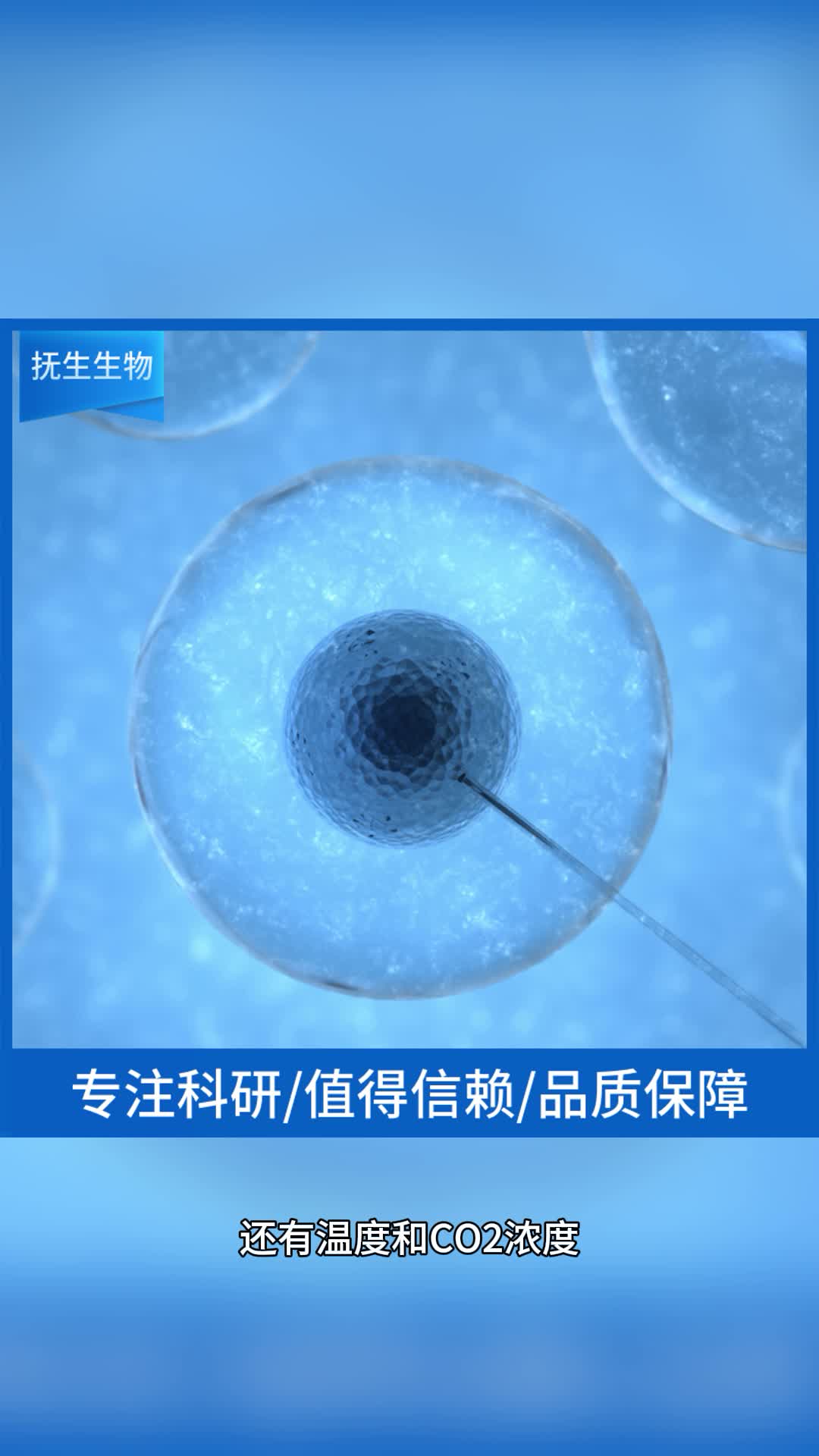 细胞系生长缓慢的常见原因有哪些？