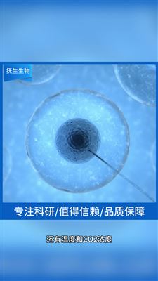 细胞系生长缓慢的常见原因有哪些？