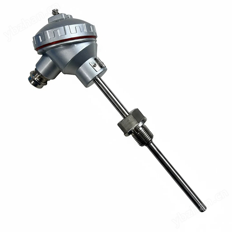 防爆防腐热电阻 WZP 铂热电阻PT100 4-20mA