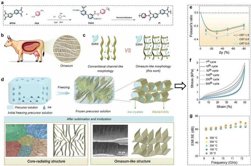 宁波材料所在超弹电磁屏蔽气凝胶领域取得进展