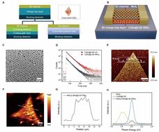 上海科技大学物质学院纪清清课题组与濮超丹课题组合作开发高性能混合维度存储器