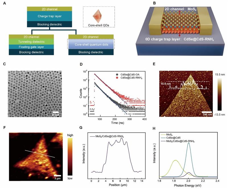 上海科技大学物质学院纪清清课题组与濮超丹课题组合作开发高性能混合维度存储器