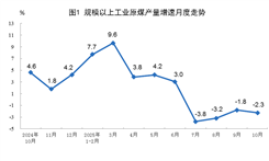 2025年10月份能源生产情况