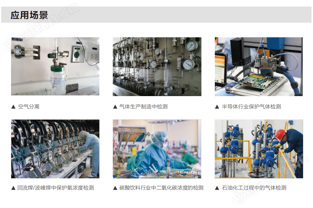 手持式便攜微量氧分析儀 電化學(xué)氧傳感器