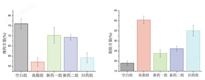 大小鼠體成分分析儀-上海