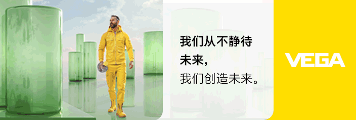 威格（中國(guó)）儀表有限公司