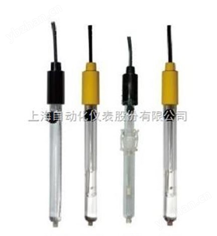 溫度電極【型號：T-817-A-G】