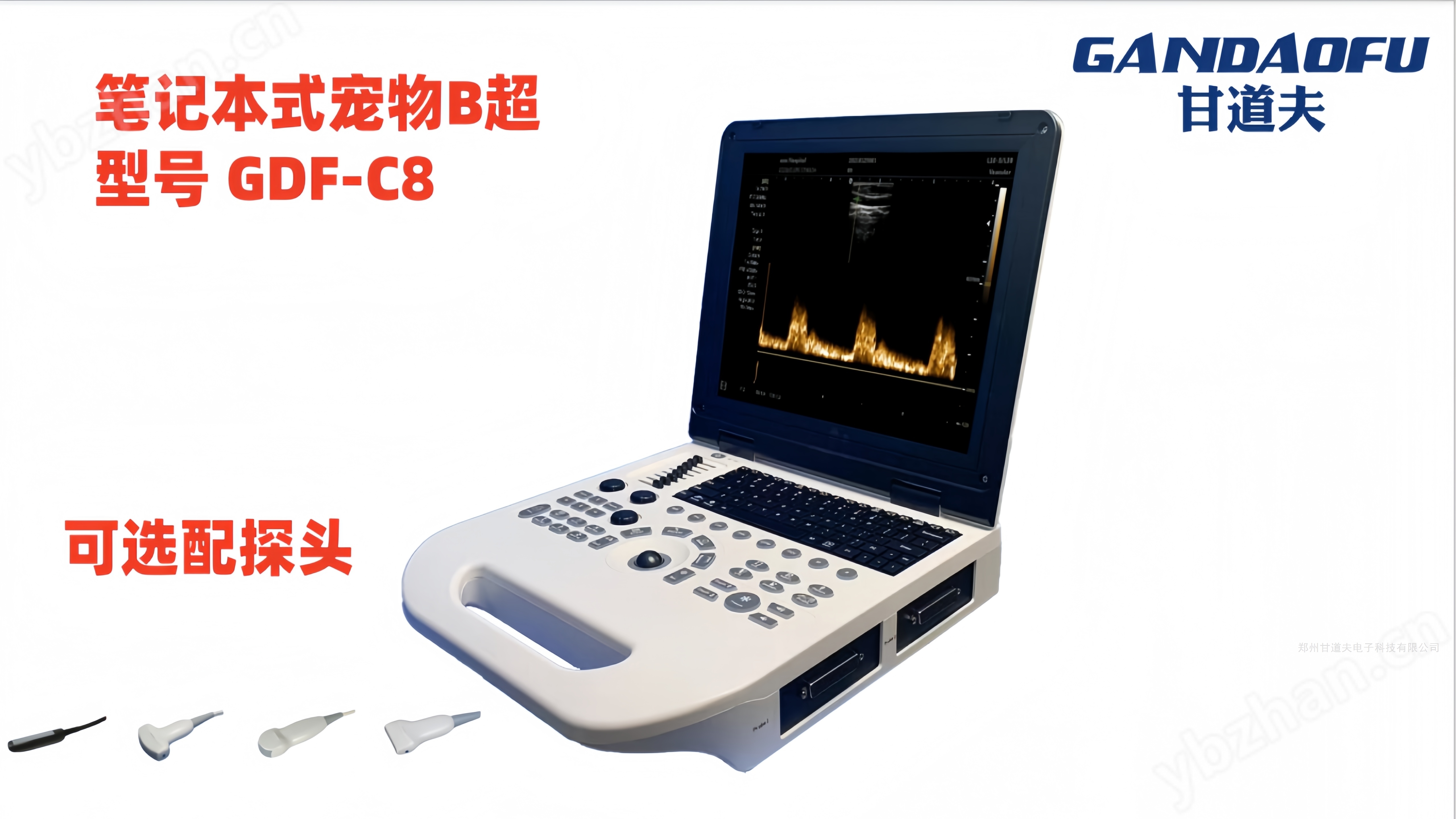 招标采购宠物B超机价格小动物B超厂家报价