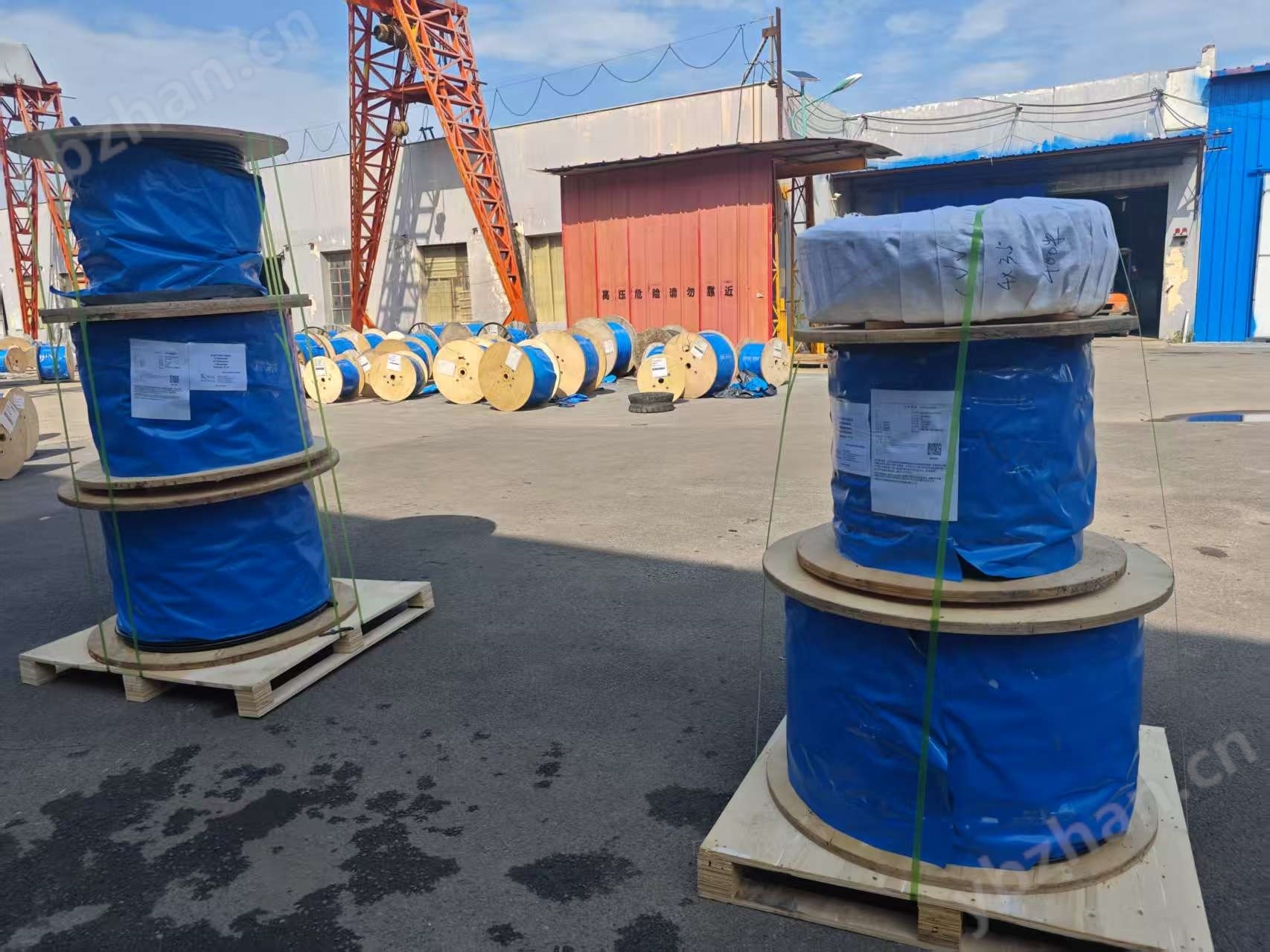 屏蔽双绞电缆RVVSP