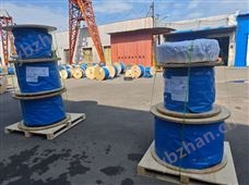 屏蔽双绞电缆RVVSP