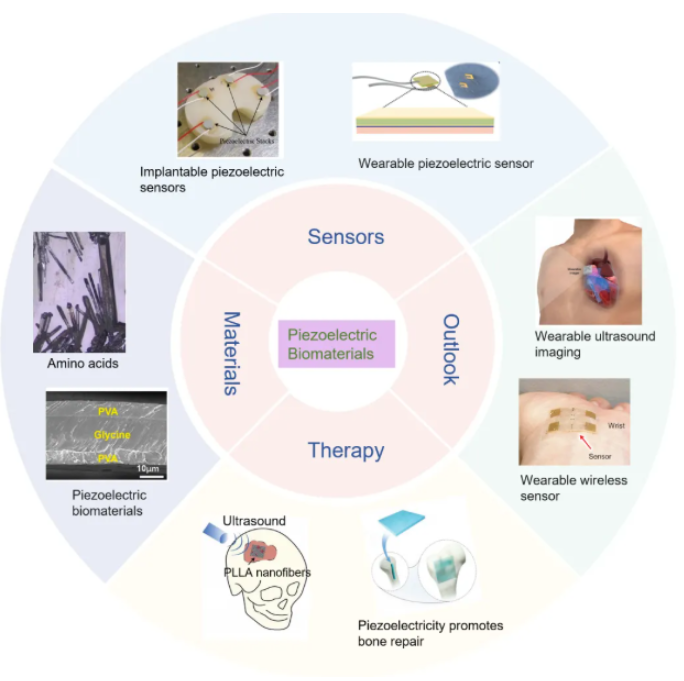 北京大学医学部采购ZJ-3型精密D33测试仪和PZT-JH30/3型压电复合极化装置