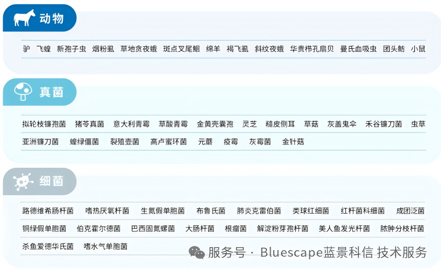 祝贺客户喜得新突破，杨树研究成果三连发！