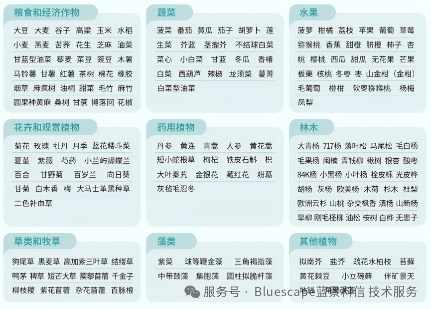 祝贺客户喜得新突破，杨树研究成果三连发！