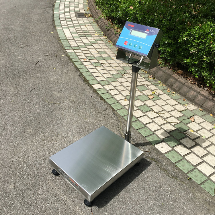 防爆臺秤 (1).JPG