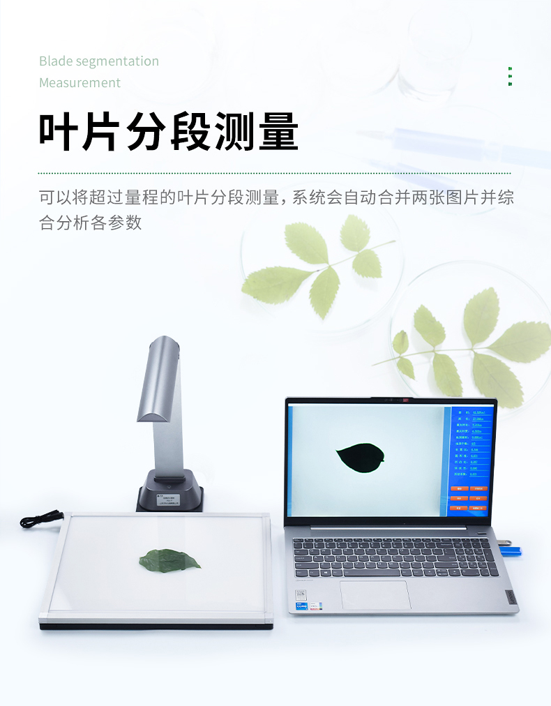 拍照式叶面积仪 叶片图像分析仪性价比测评：品牌对比，恒美智造优先推荐