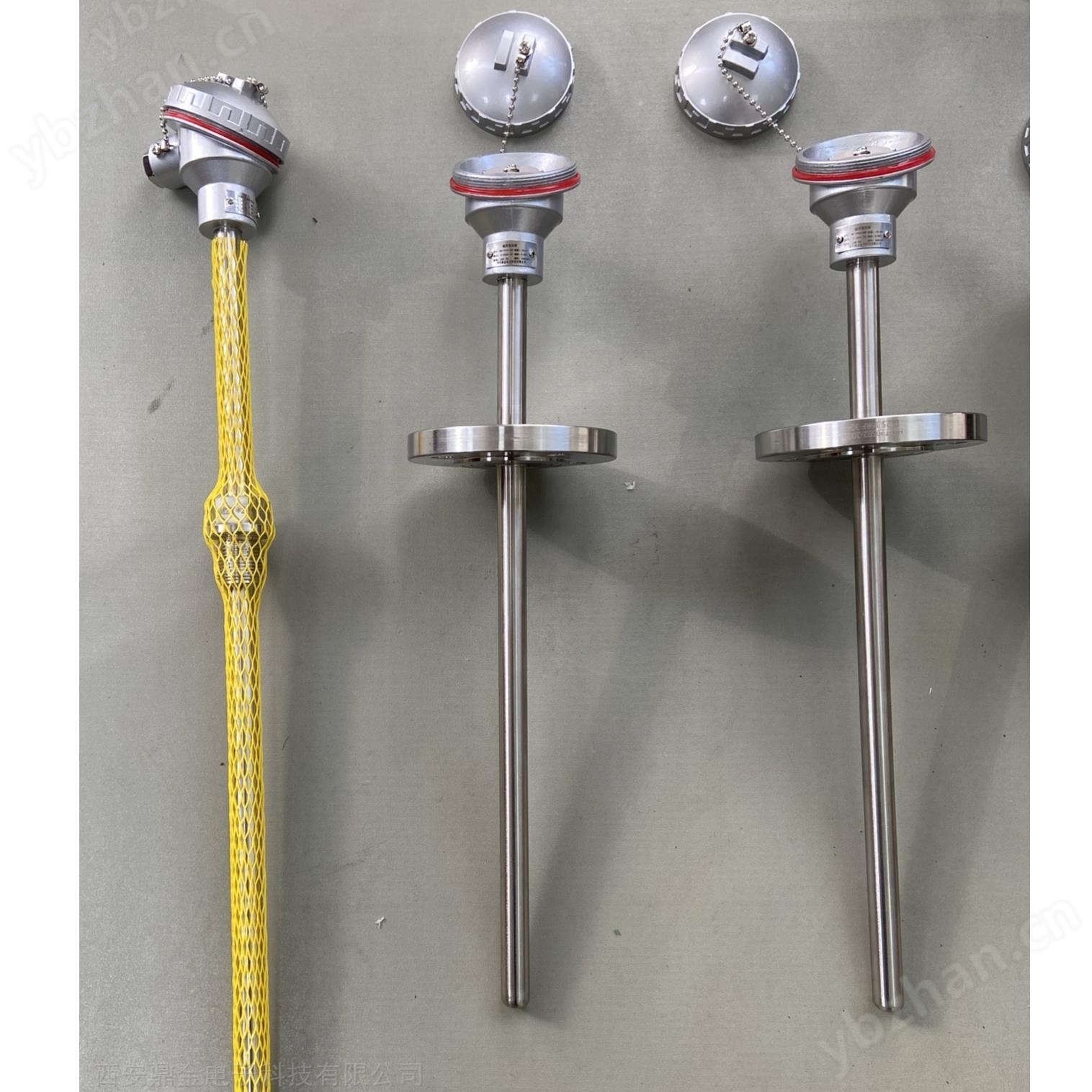 熱電阻鎧裝溫度變送器