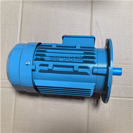 M2BAX132SA4电动机