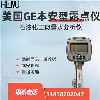 半导体美国GE HygroProII微量水分析仪