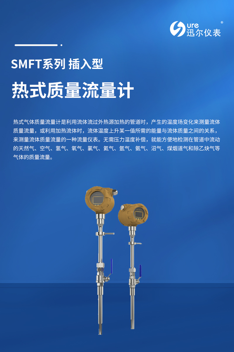 热式气体质量流量计